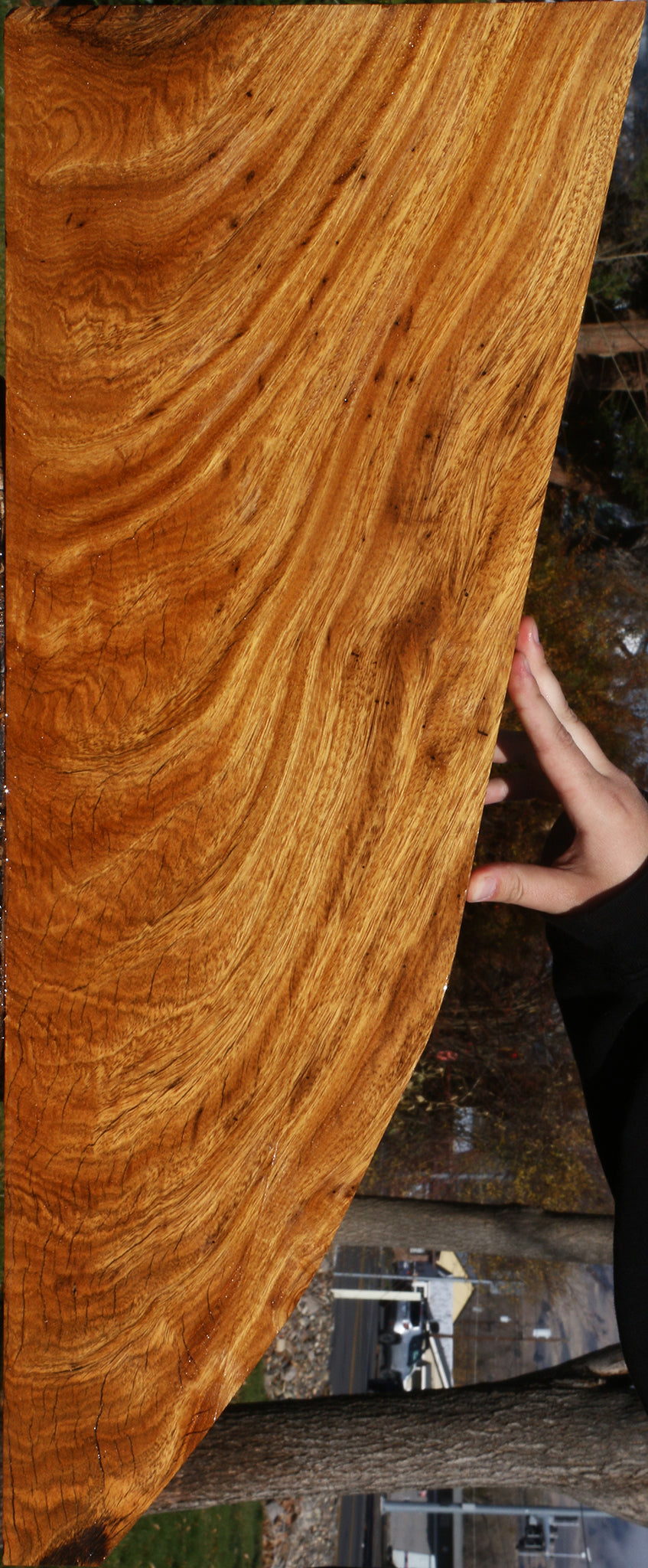 Extra Fancy Crotchwood Cerejeira Lumber