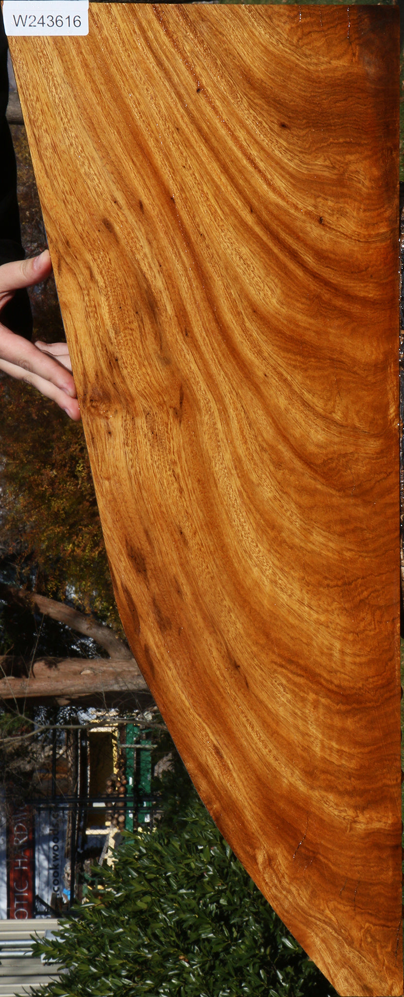 Extra Fancy Crotchwood Cerejeira Lumber