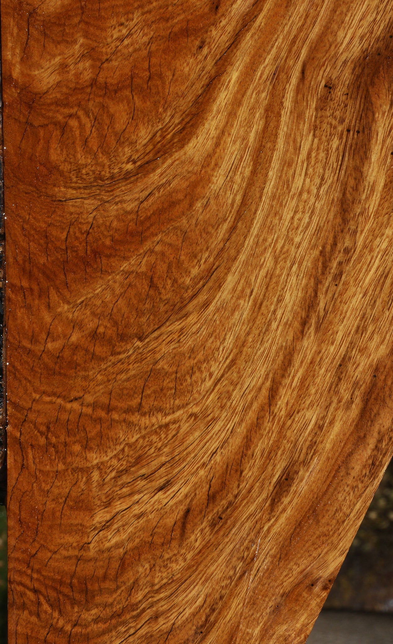Extra Fancy Crotchwood Cerejeira Lumber