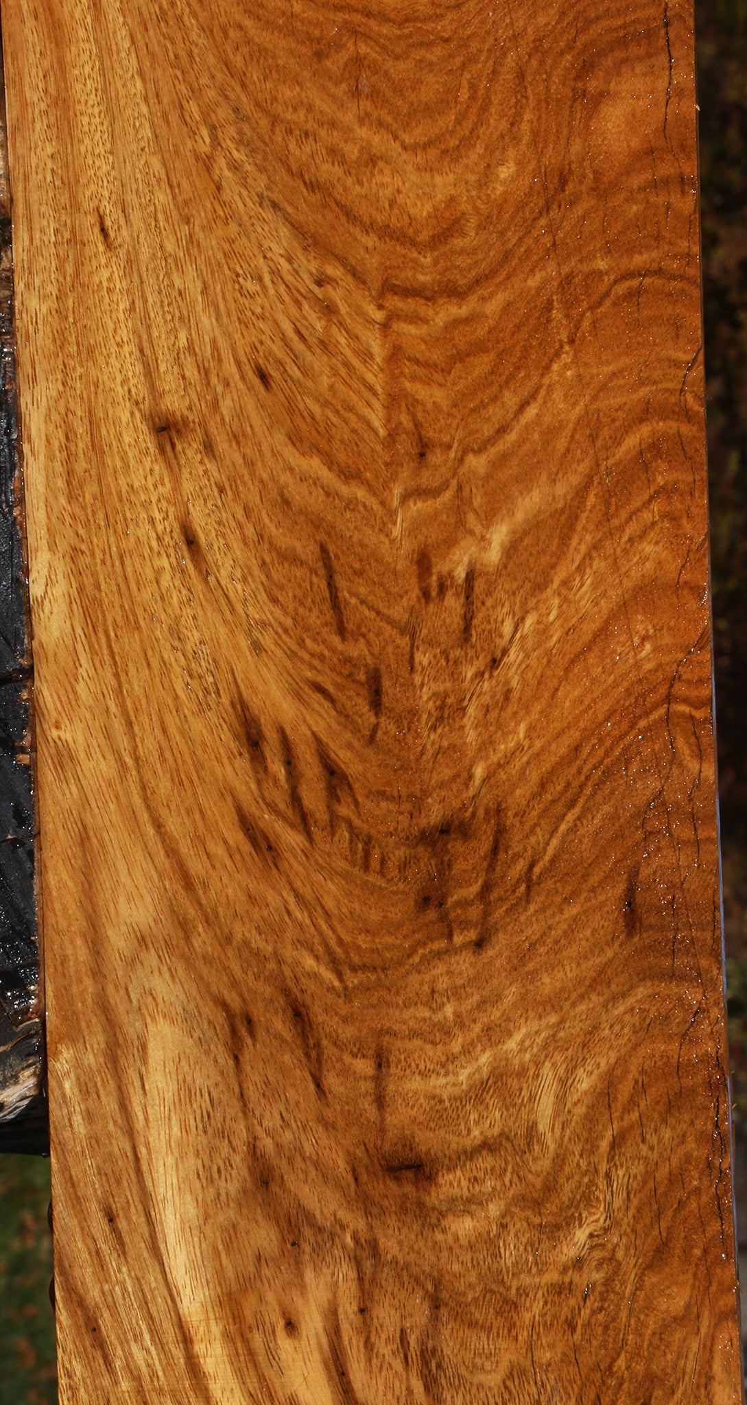 Extra Fancy Crotchwood Cerejeira Lumber