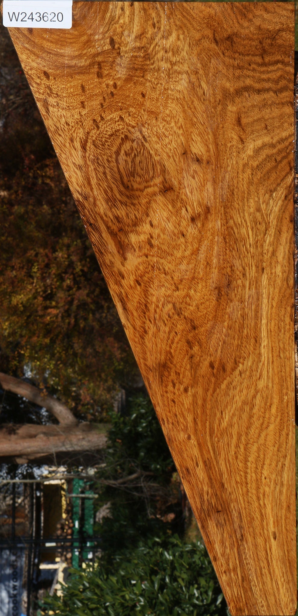 Figured Cerejeira Lumber