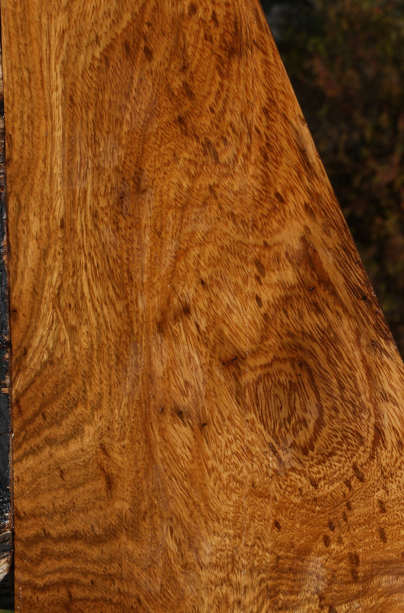 Figured Cerejeira Lumber