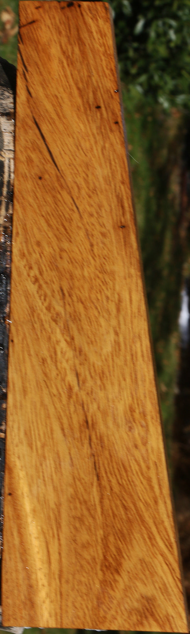 Cerejeira Lumber