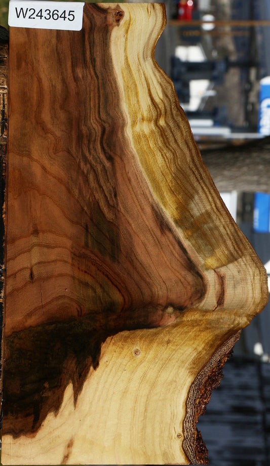 Extra Fancy Pistachio Live Edge Lumber