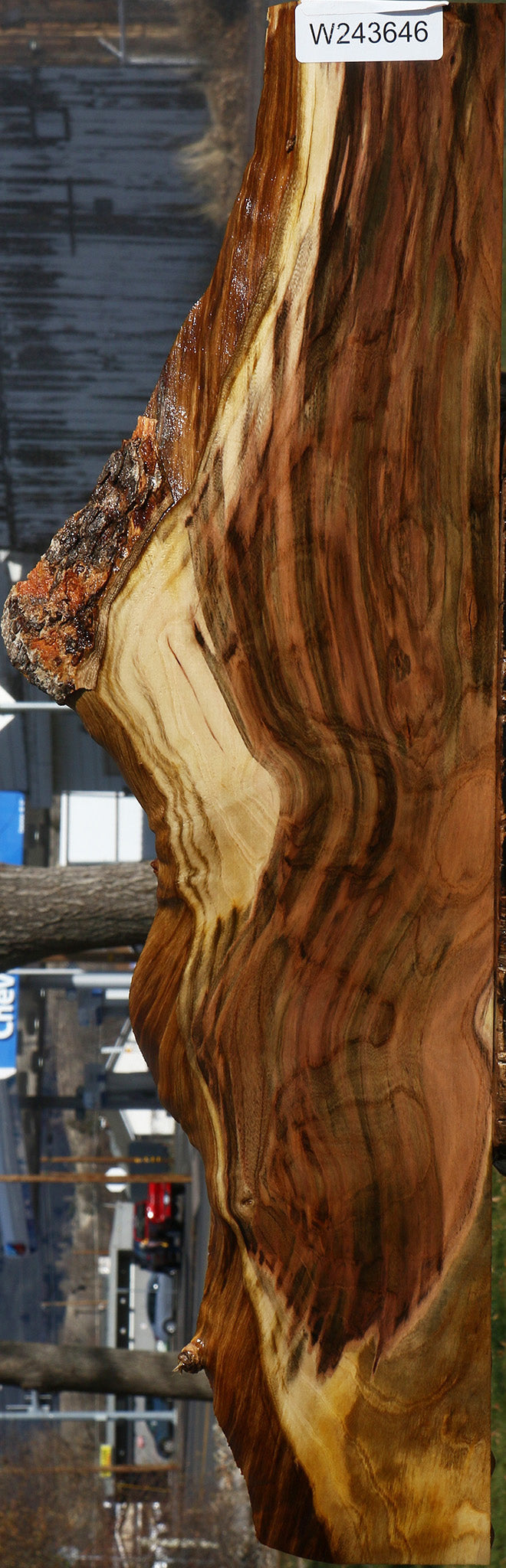 Extra Fancy Pistachio Live Edge Lumber