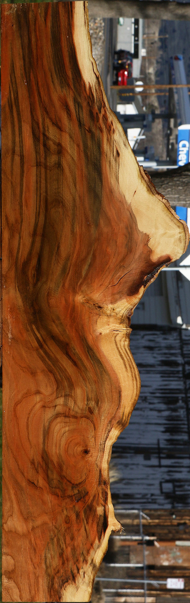 Extra Fancy Pistachio Live Edge Lumber