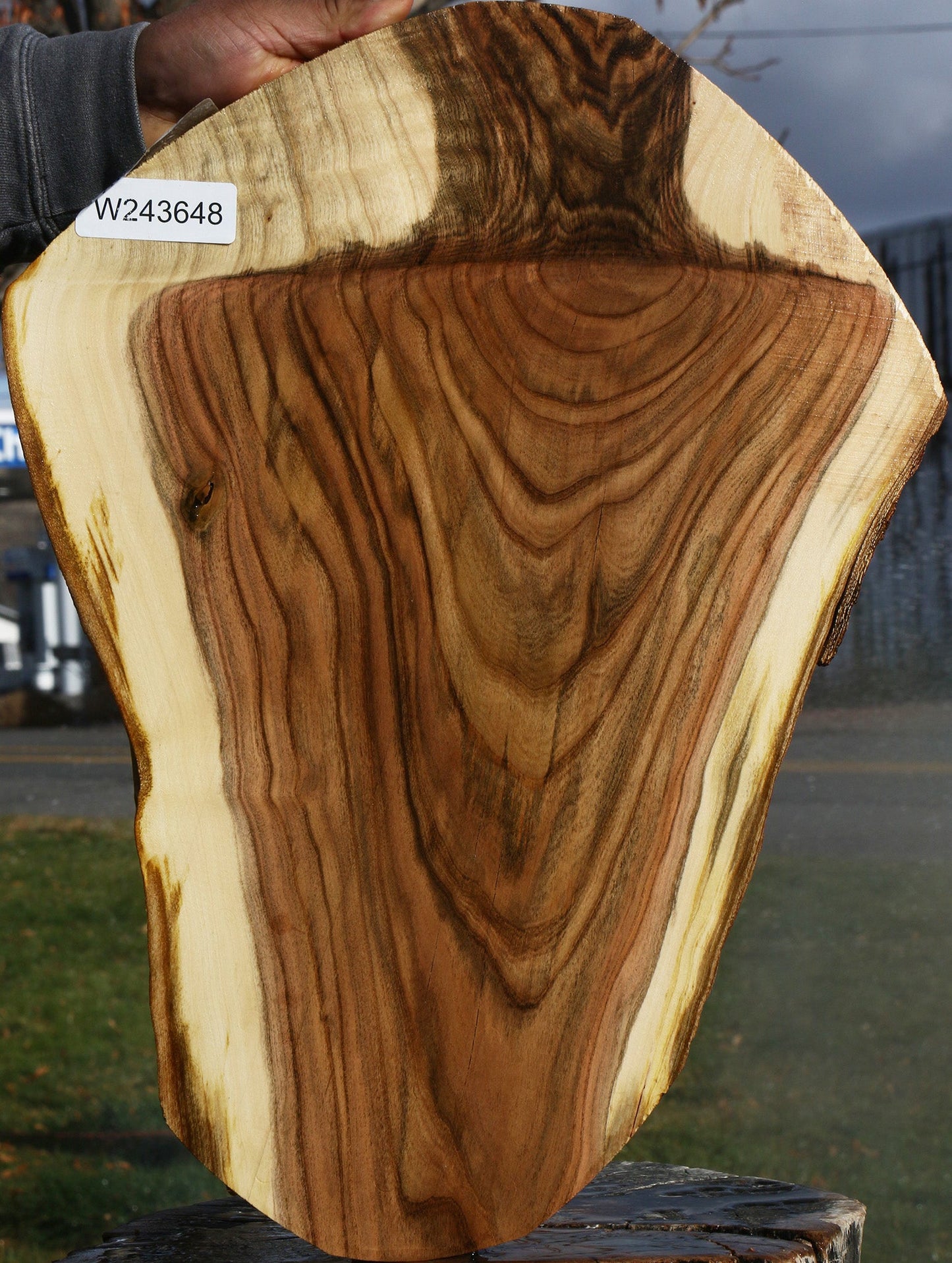 Extra Fancy Grafted Pistachio Live Edge Lumber