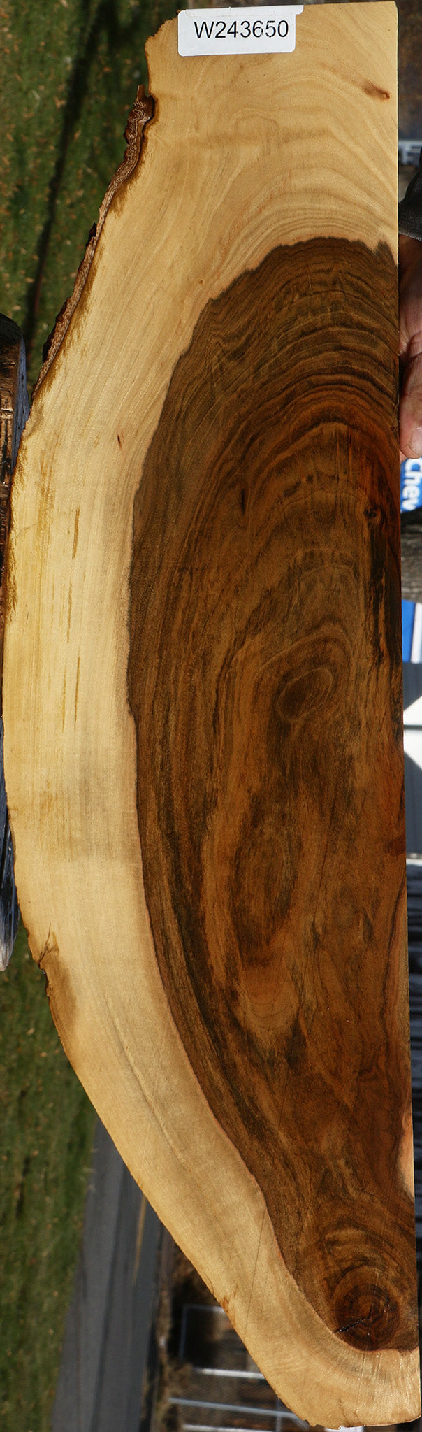 Extra Fancy Pistachio Live Edge Lumber