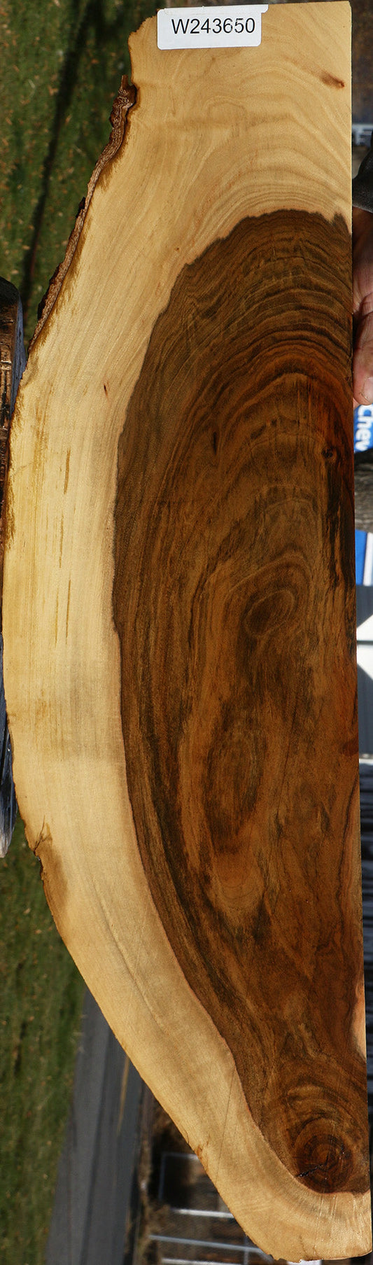 Extra Fancy Pistachio Live Edge Lumber