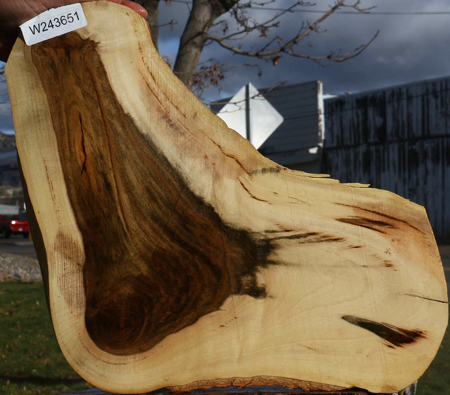 Pistachio Live Edge Lumber