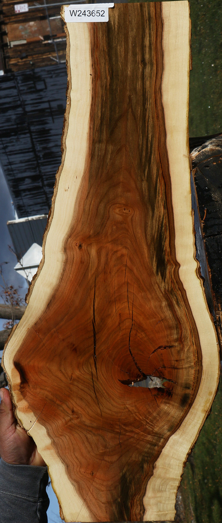 Pistachio Live Edge Lumber