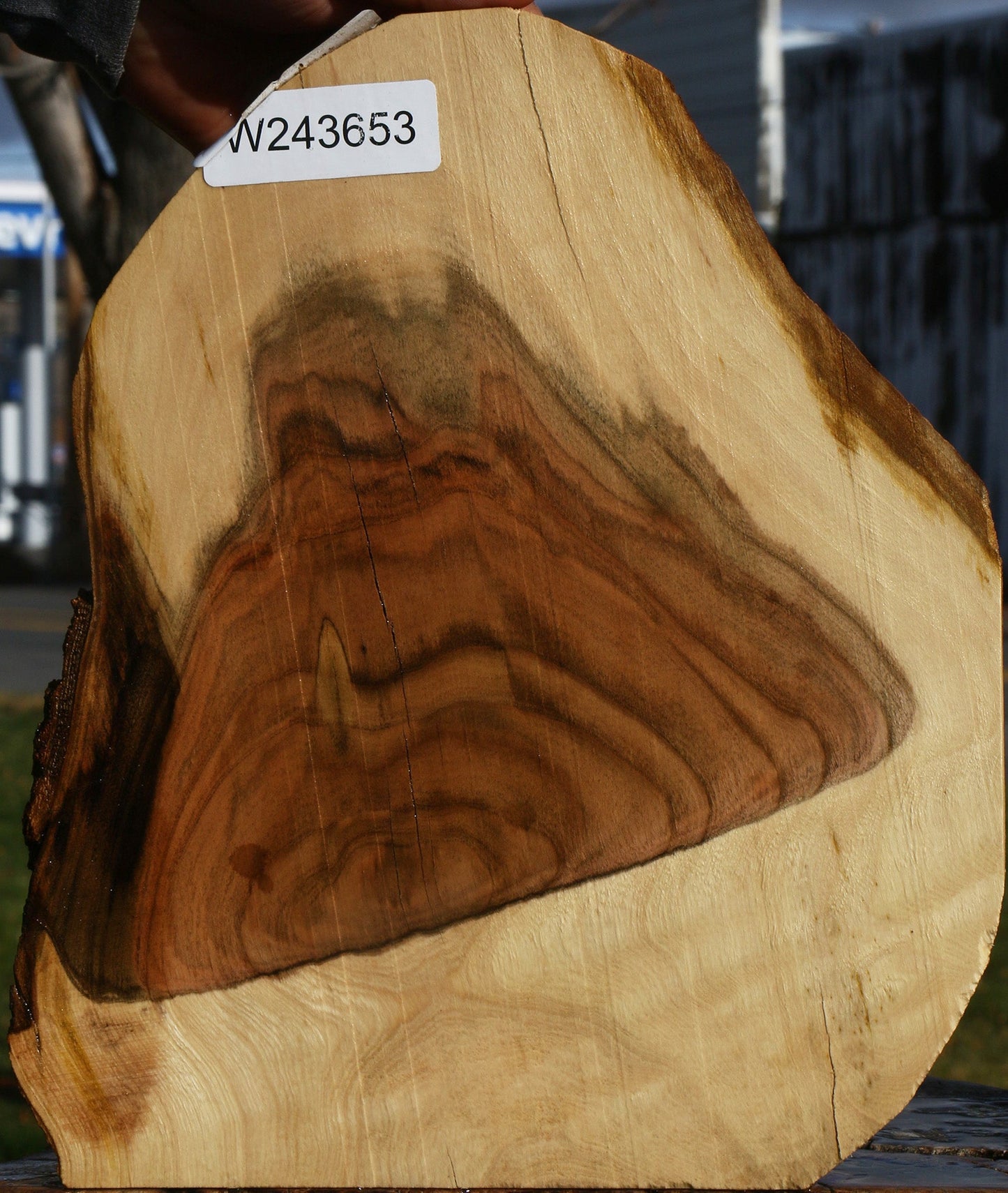 Pistachio Live Edge Lumber