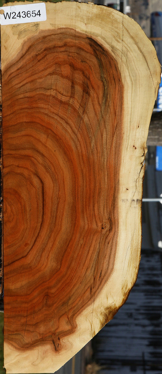 Pistachio Live Edge Slice