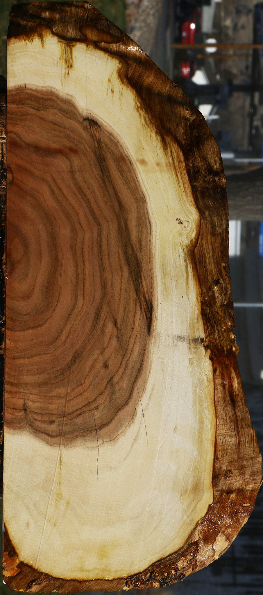 Pistachio Live Edge Slice