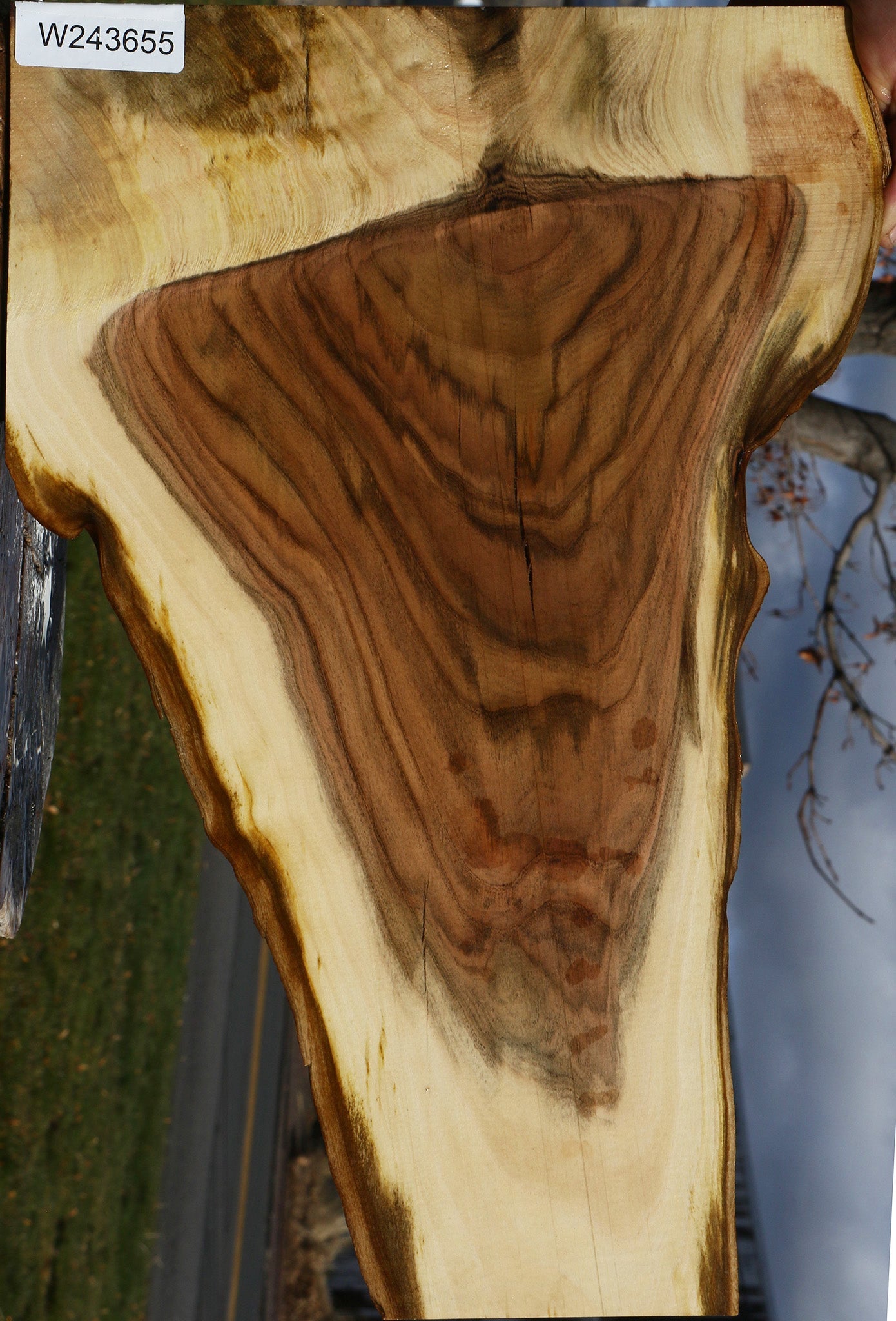 Figured Rustic Pistachio Live Edge Lumber