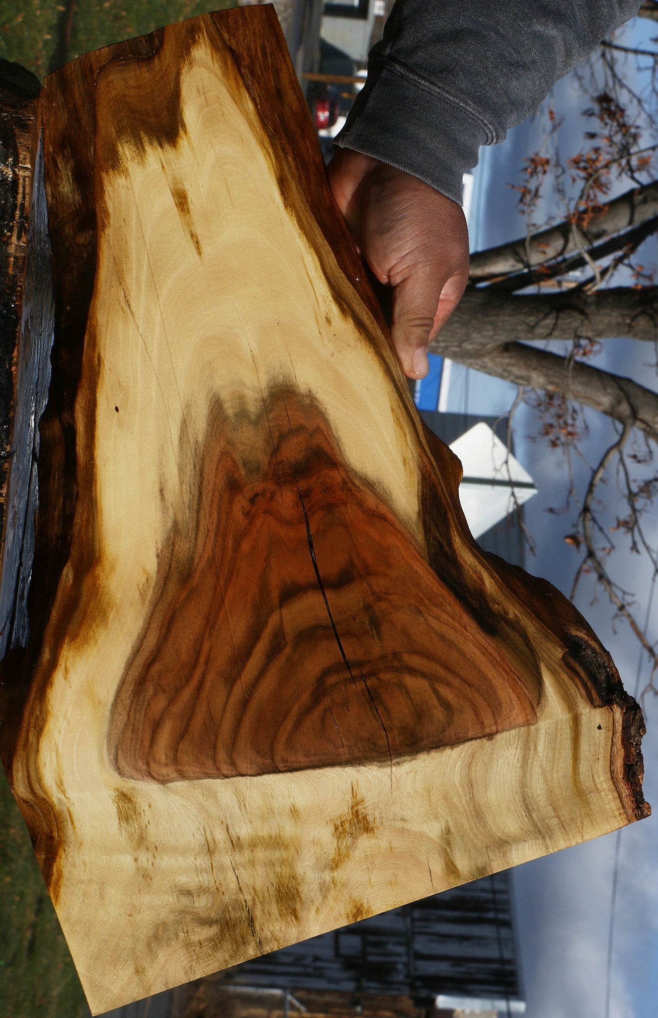 Figured Rustic Pistachio Live Edge Lumber