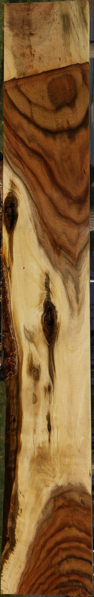 Extra Fancy Pistachio Lumber