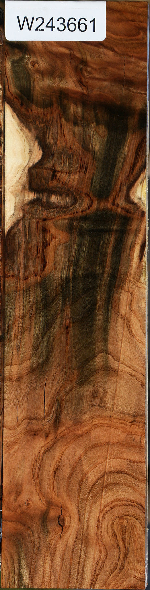 Extra Fancy Grafted Pistachio Lumber