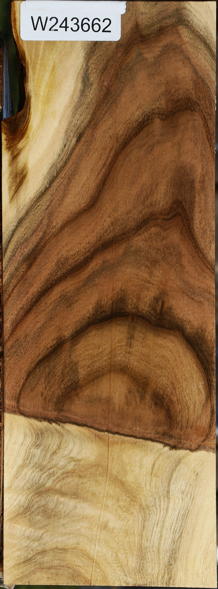 Figured Pistachio Lumber