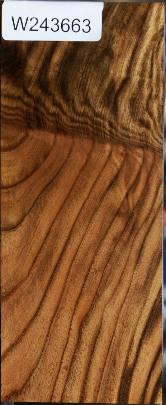 Extra Fancy Grafted Pistachio Lumber