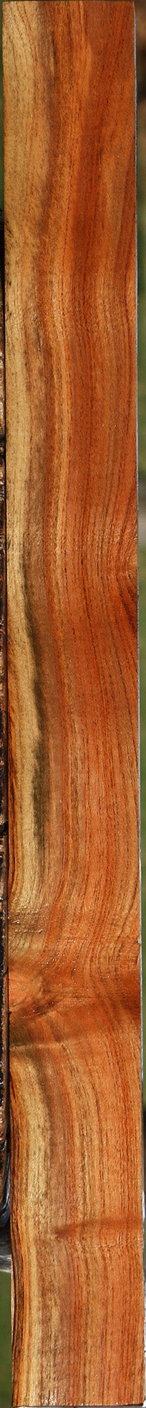 Extra Fancy Pistachio Lumber