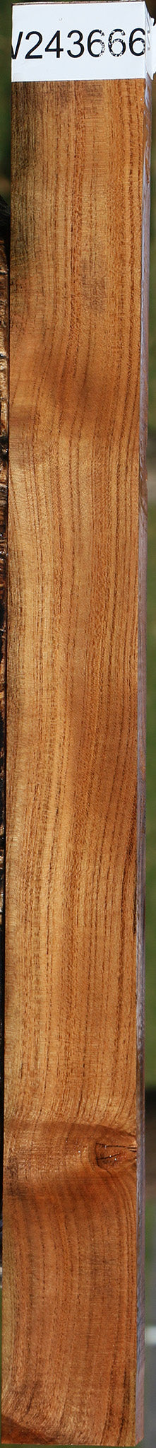 Extra Fancy Pistachio Lumber