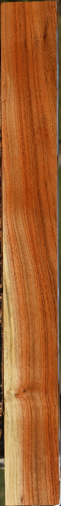 Extra Fancy Pistachio Lumber