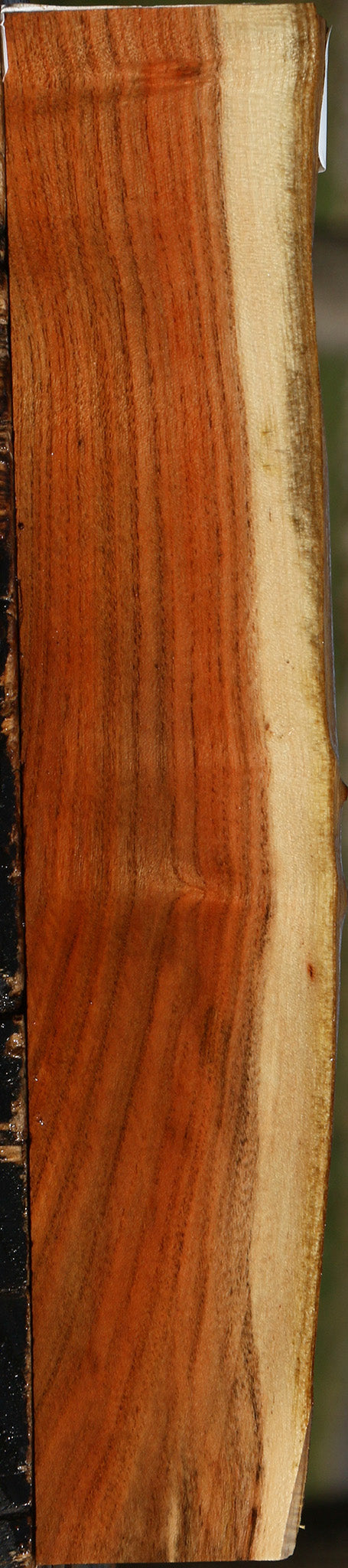 Extra Fancy Pistachio Live Edge Lumber