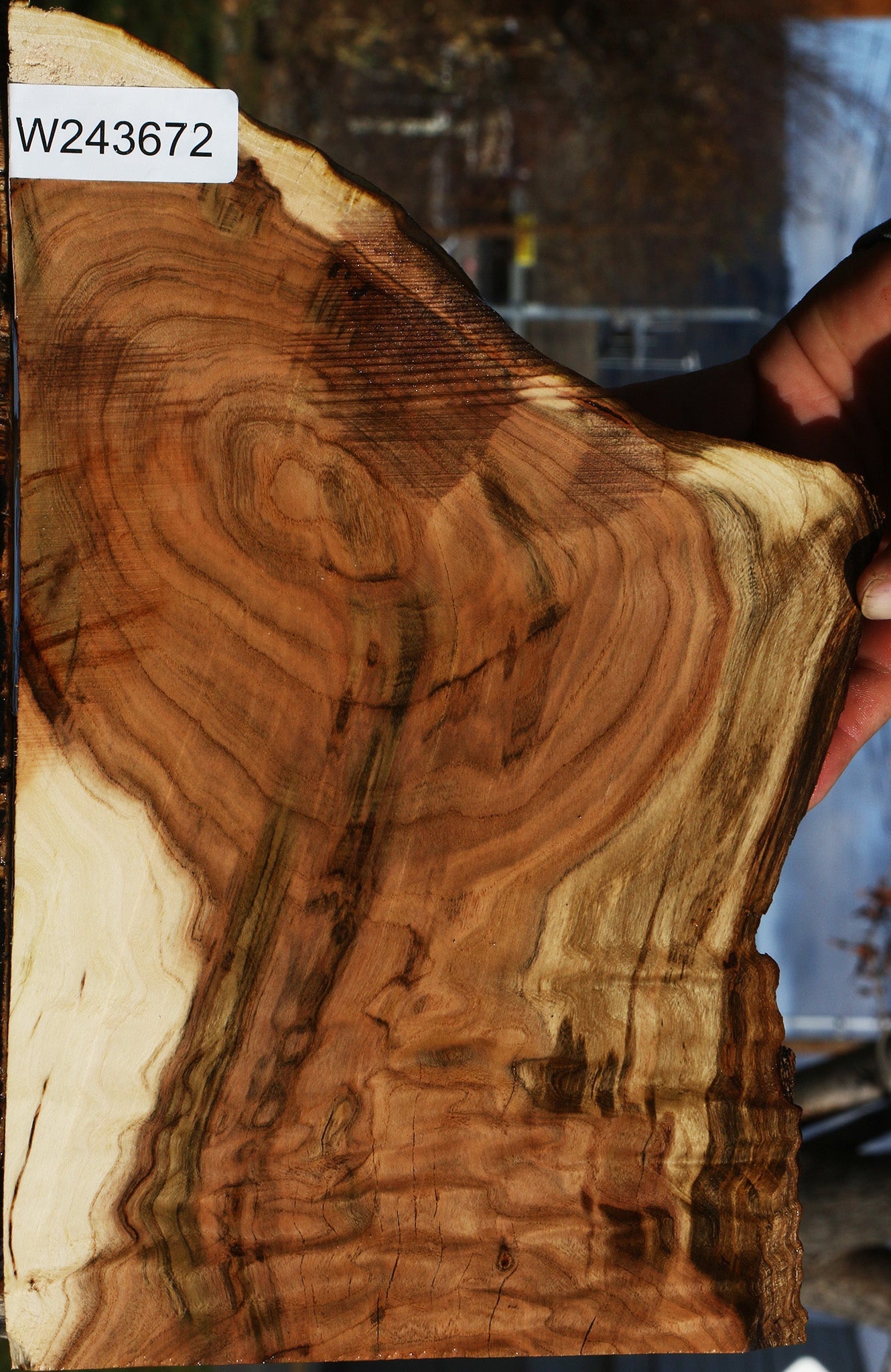 Extra Fancy Pistachio Live Edge Lumber