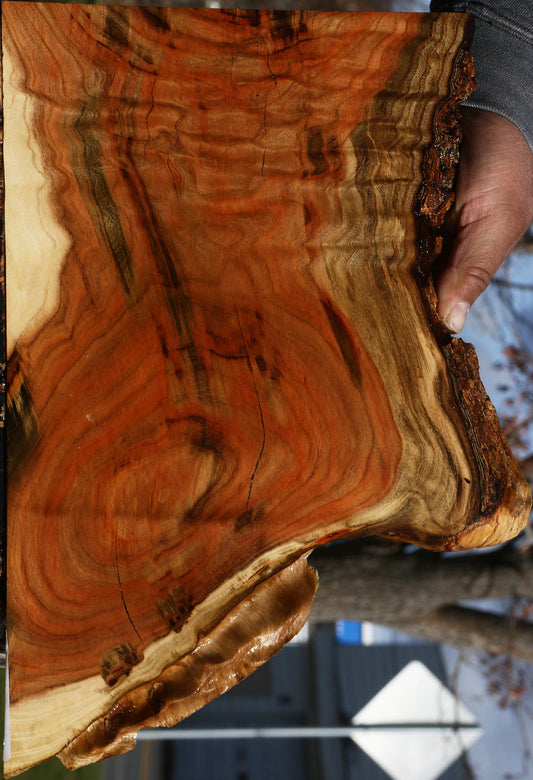 Extra Fancy Pistachio Live Edge Lumber