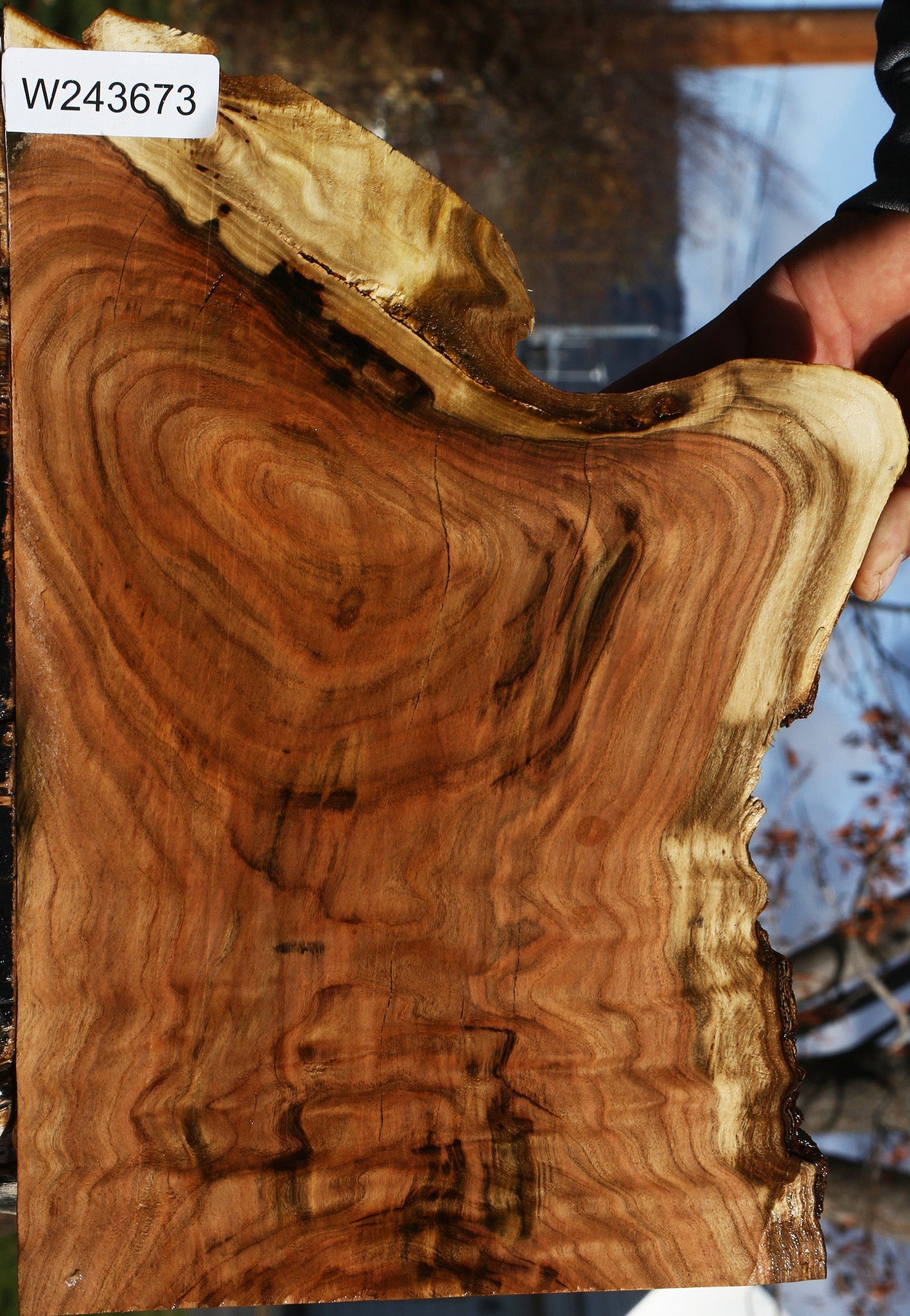 Extra Fancy Pistachio Live Edge Lumber