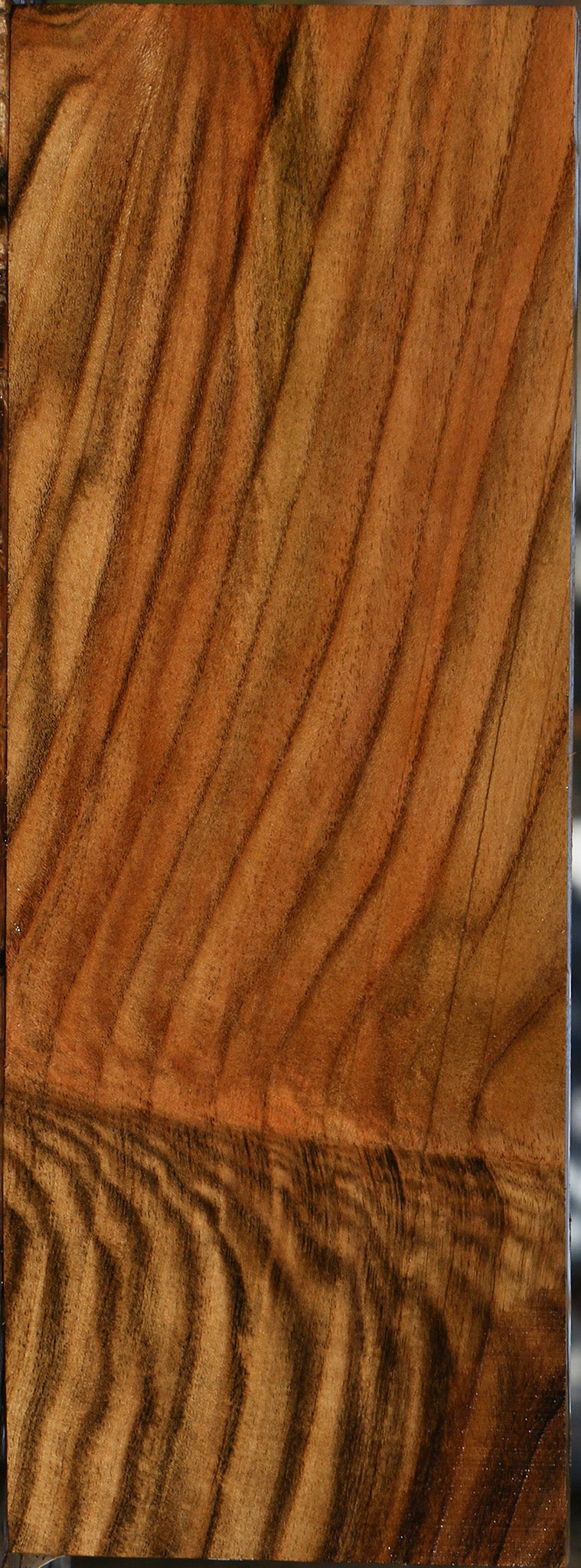 Extra Fancy Grafted Pistachio Lumber