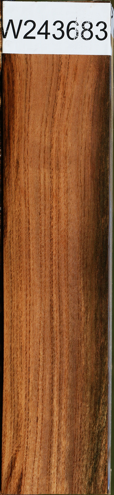 Figured Pistachio Lumber