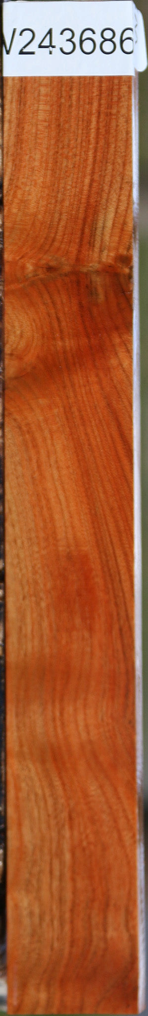 Extra Fancy Pistachio Lumber