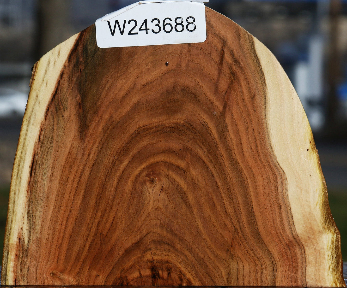 Pistachio Live Edge Slice