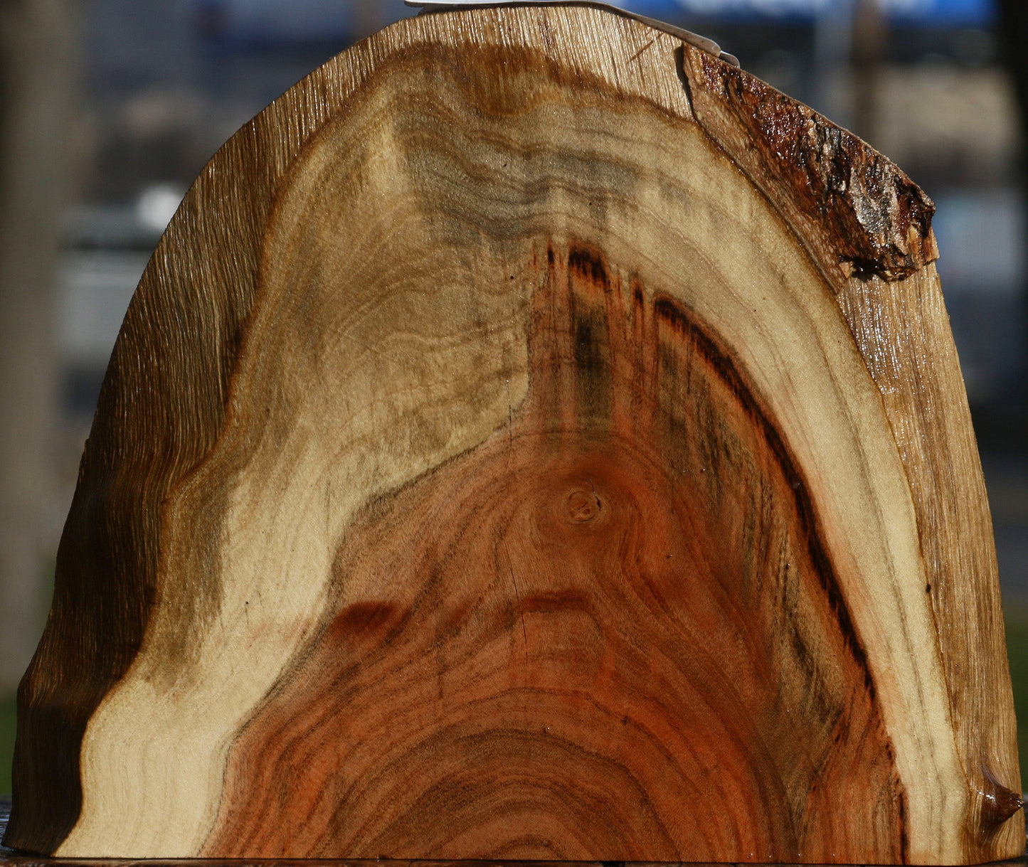 Pistachio Live Edge Slice