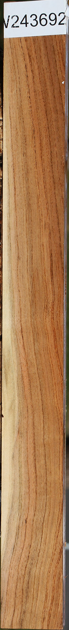 Figured Pistachio Lumber