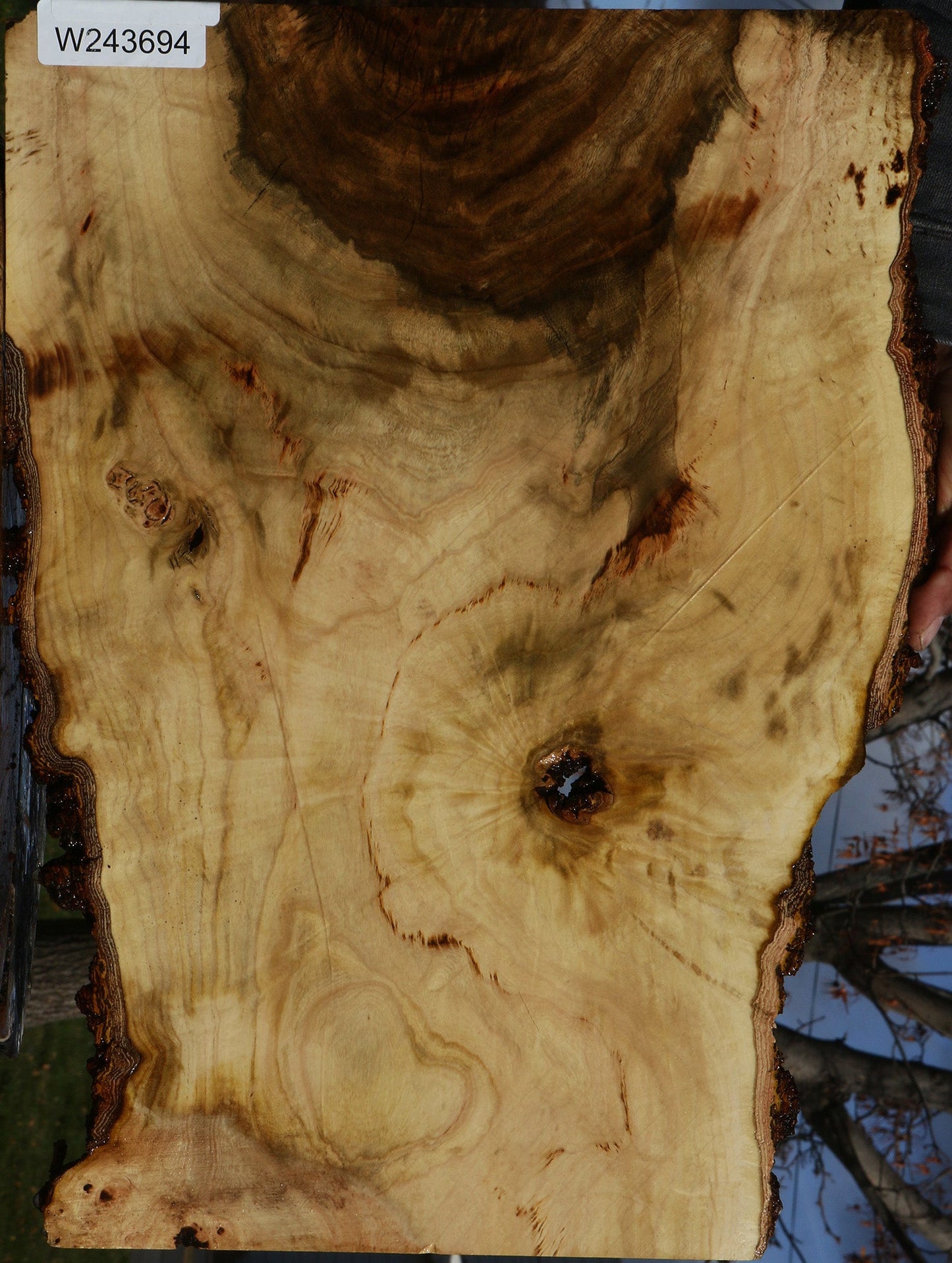 Pistachio Live Edge Lumber