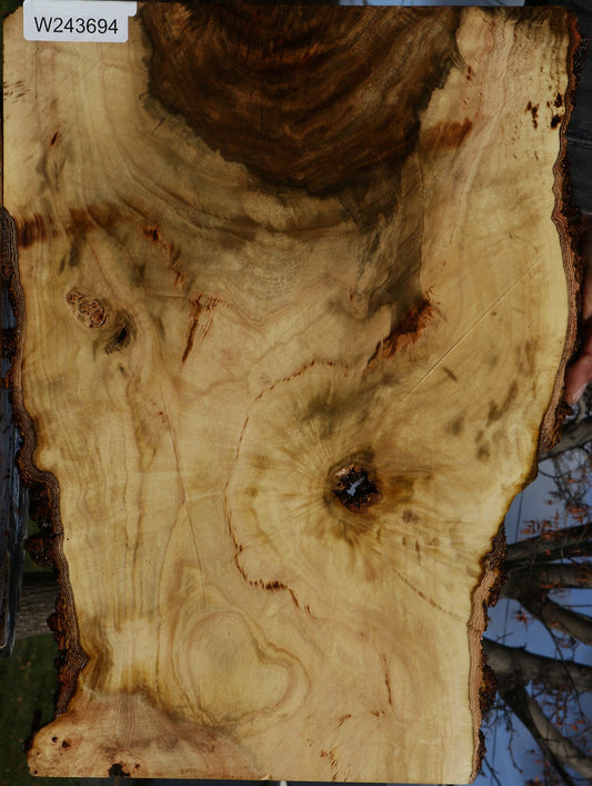 Pistachio Live Edge Lumber