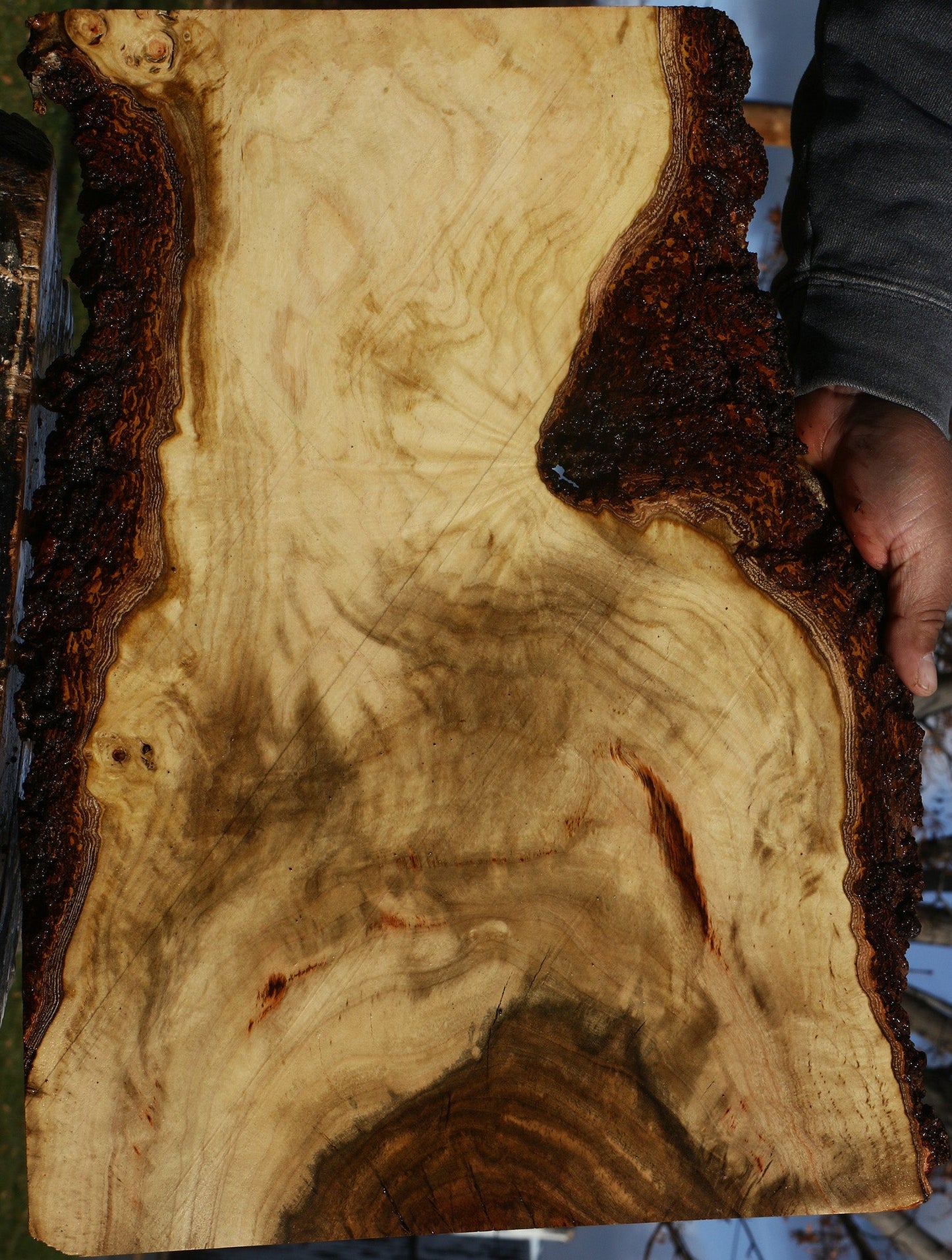 Pistachio Live Edge Lumber