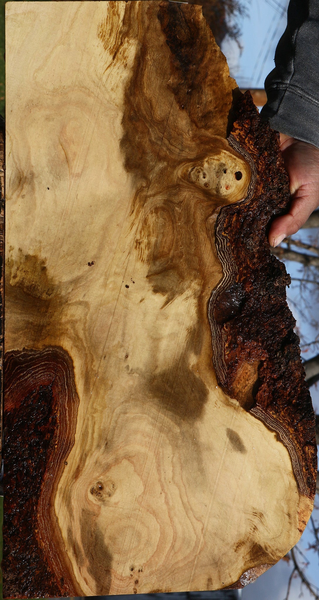 Pistachio Live Edge Lumber