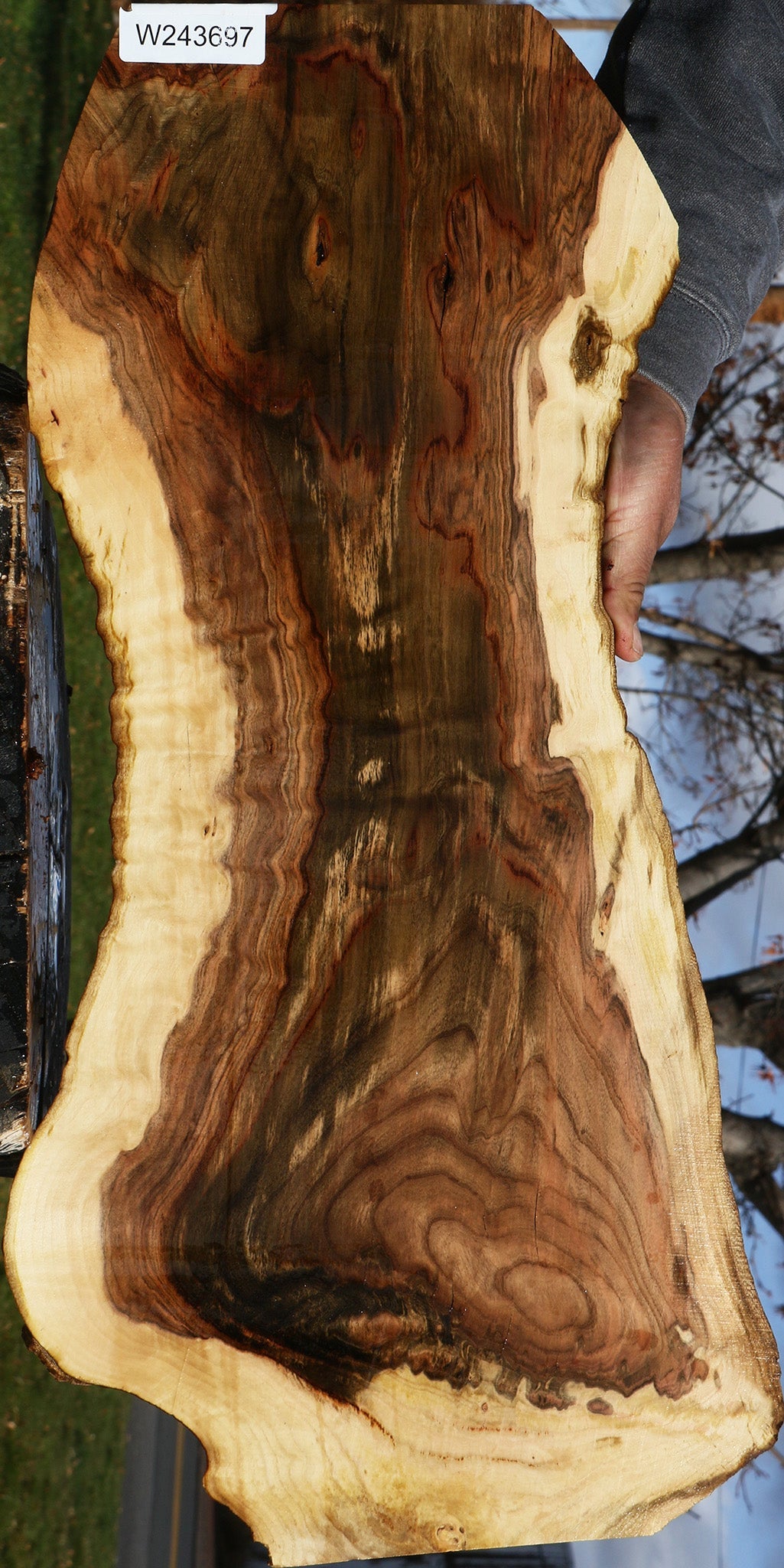 Extra Fancy Pistachio Live Edge Lumber