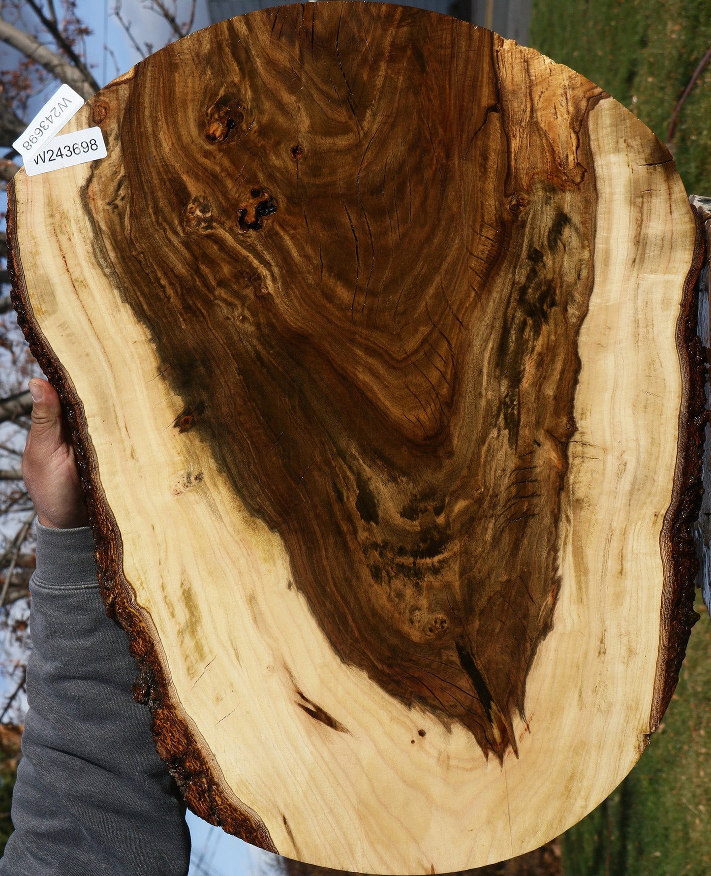 Pistachio Live Edge Lumber