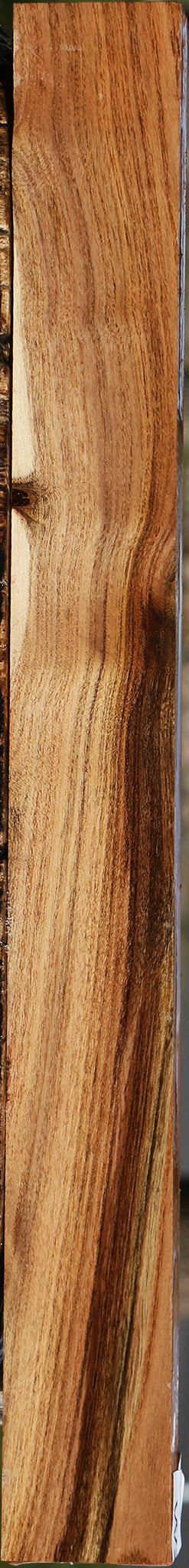 Extra Fancy Pistachio Lumber