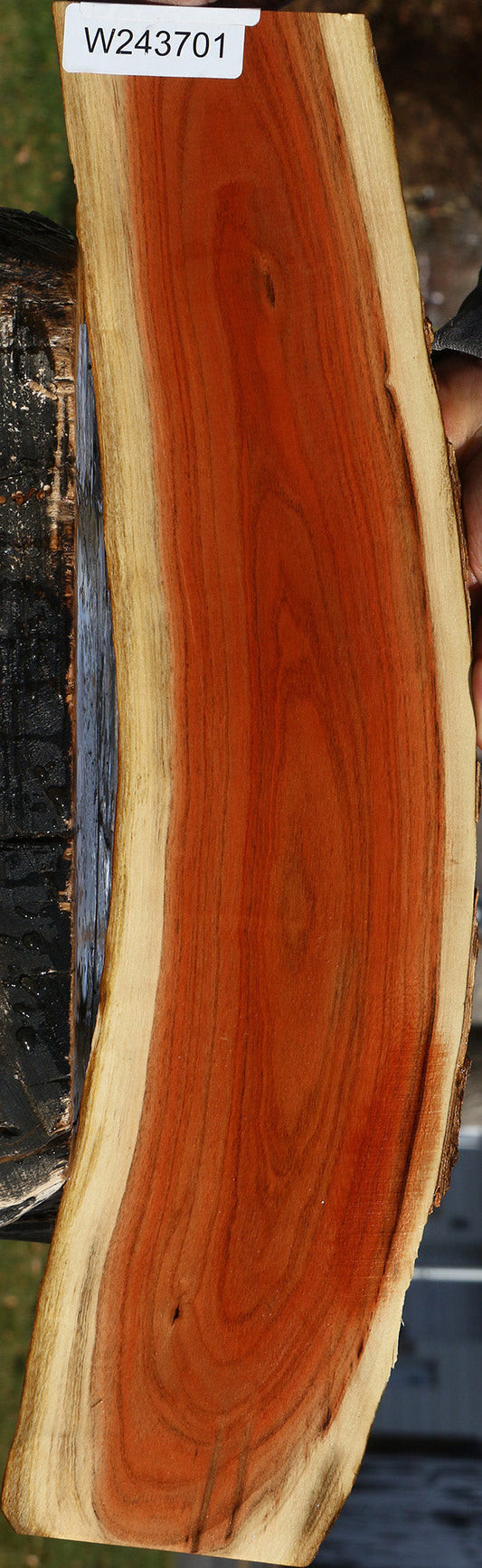Figured Pistachio Live Edge Lumber
