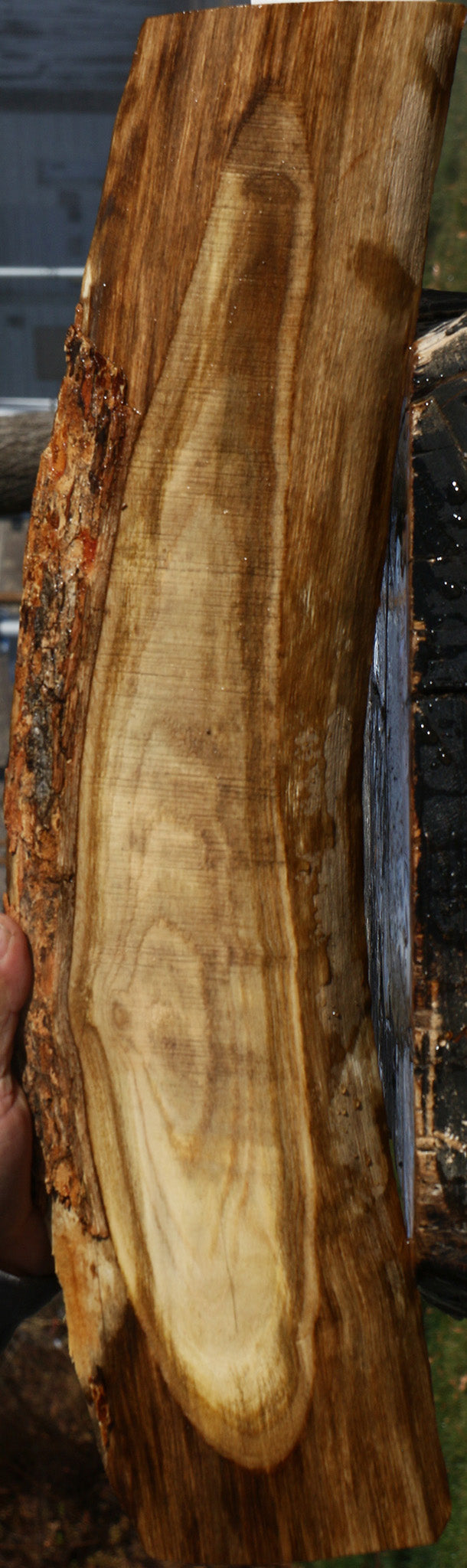 Figured Pistachio Live Edge Lumber