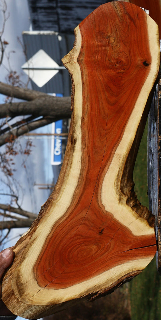 Pistachio Live Edge Lumber