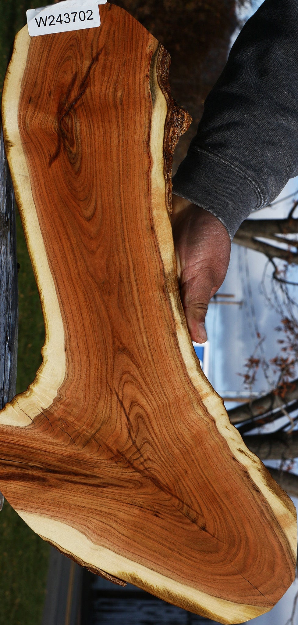 Pistachio Live Edge Lumber