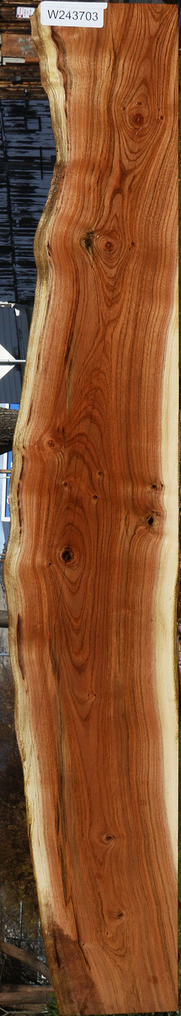 Pistachio Live Edge Lumber