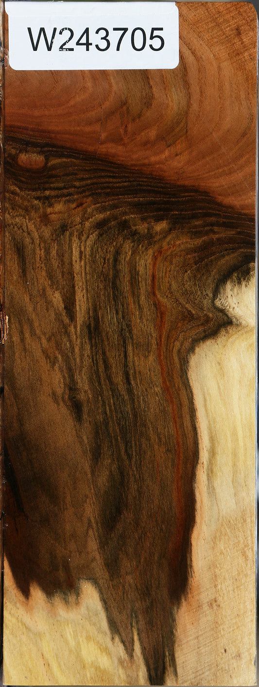 Extra Fancy Grafted Pistachio Lumber